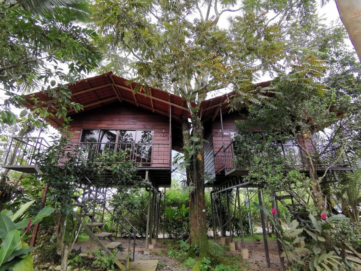 Lodge Las Cabañas