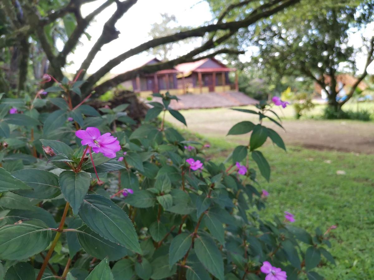 Las Cabañas *