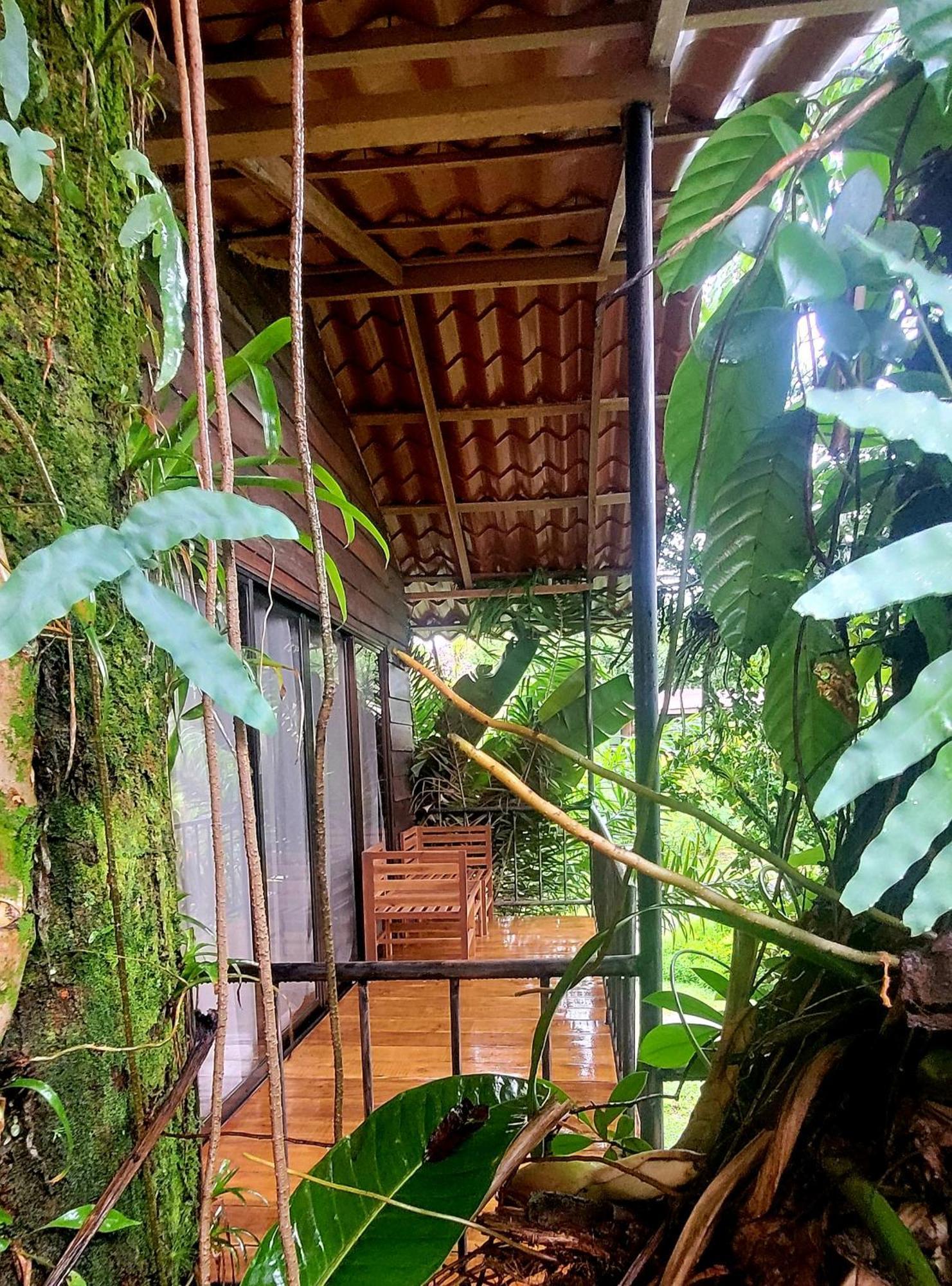 Las Cabanas Lodge Venecia