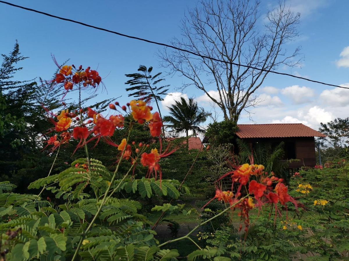 Lodge Las Cabanas