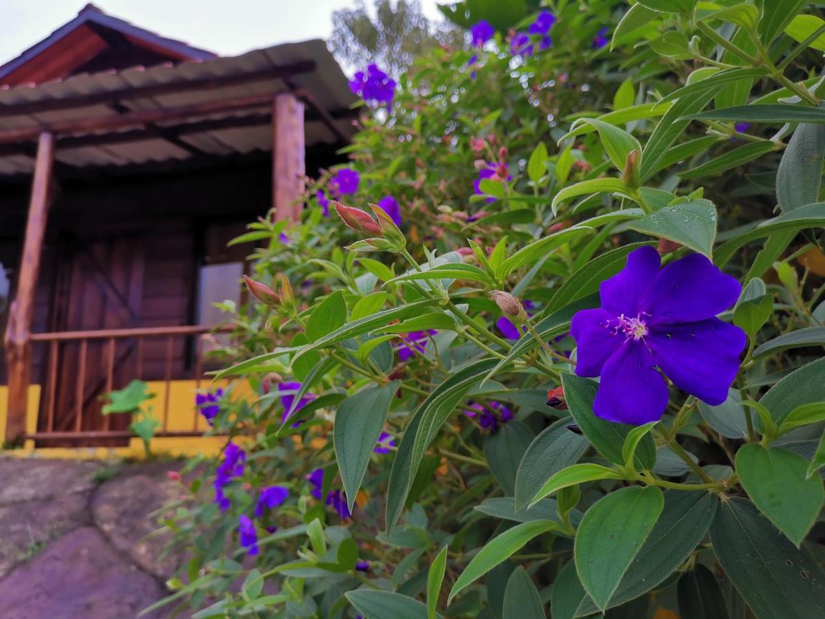 Lodge Las Cabanas
