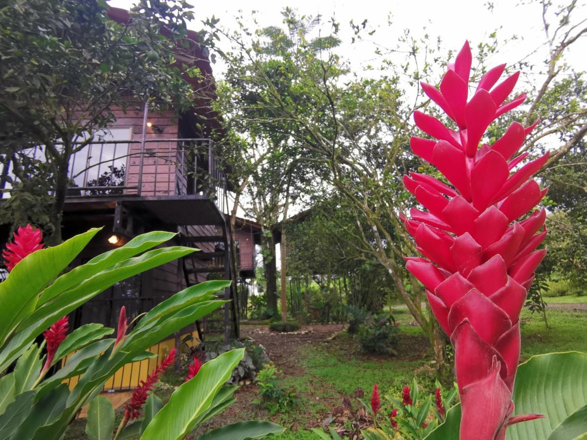 Lodge Las Cabanas